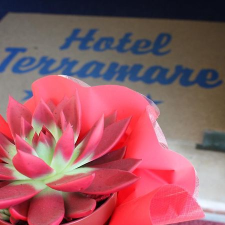 Hotel Terramare Lido di Jesolo Exterior photo
