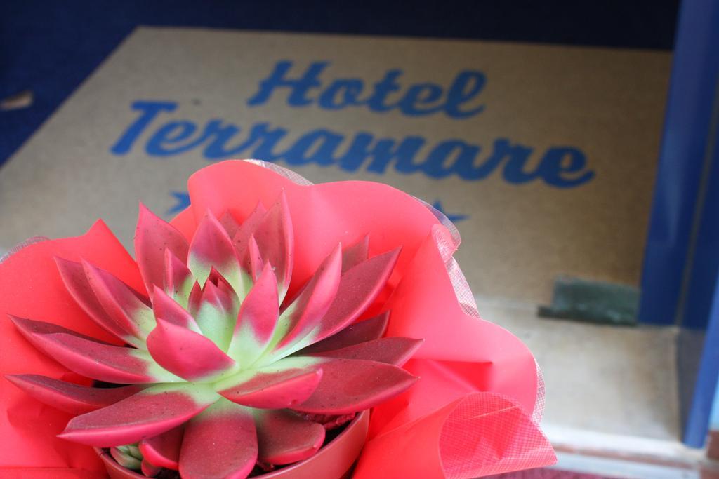 Hotel Terramare Lido di Jesolo Exterior photo